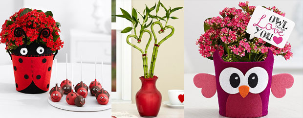 Цвеће у саксији за Дан заљубљених